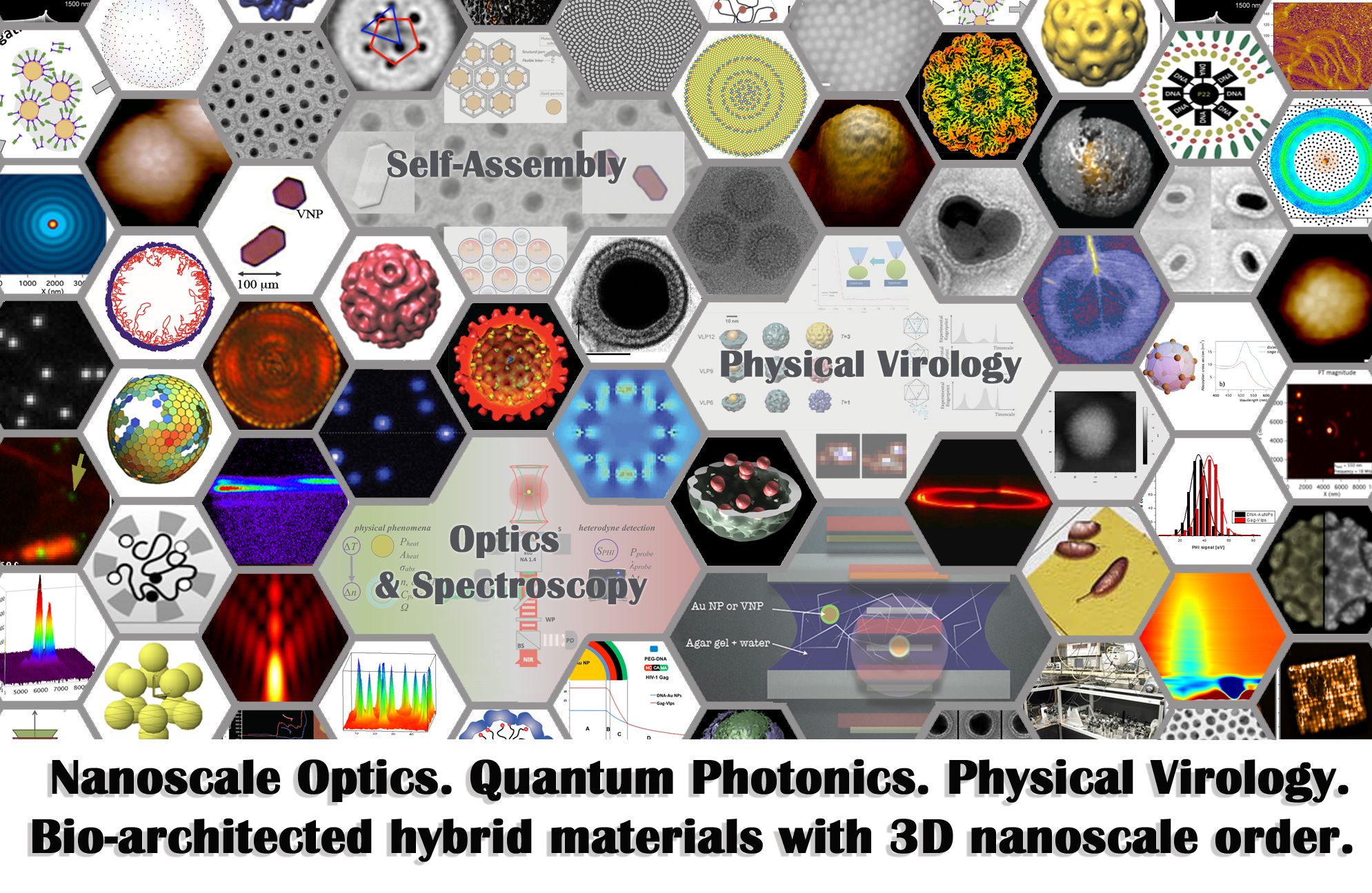 Assembly and dynamics of macromolecular and nanoparticle complexes